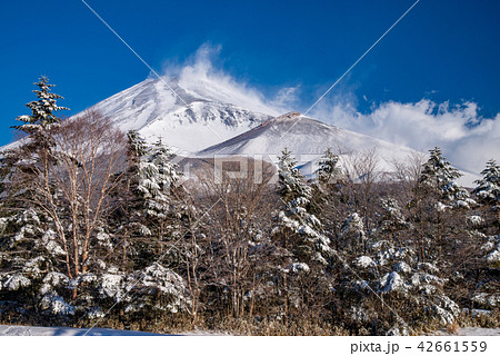 (静岡県)水ケ塚公園から眺める、降雪後の富士山 (静岡県)水ケ塚公園から眺める、降雪後の富士山 42661559