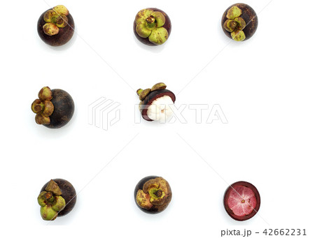 fruits mangosteen on white background 42662231