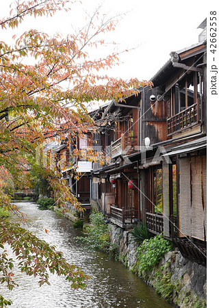 京都 京都 42662558
