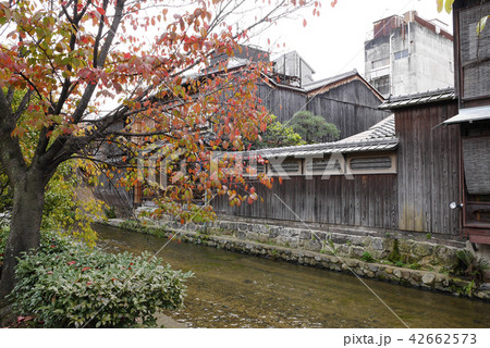 京都 京都 42662573