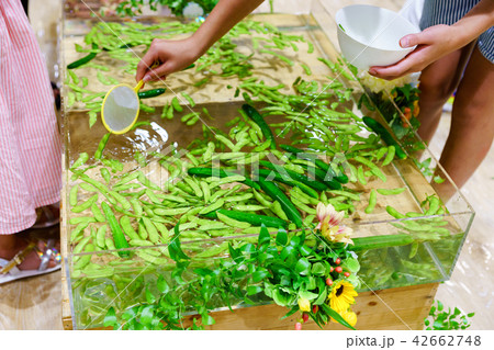 《日本》 野菜すくいイベント 《日本》 野菜すくいイベント 42662748