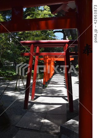 来宮神社　稲荷神　熱海市 42663873