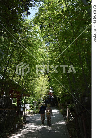 来宮神社　熱海市 42663875