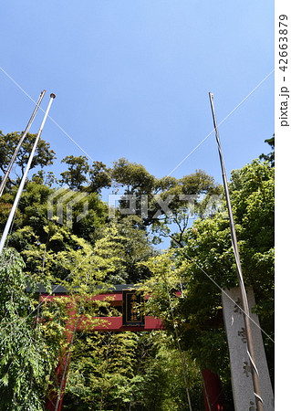 来宮神社 熱海市 来宮神社 熱海市 42663879
