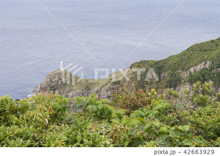 大瀬埼灯台 42663929
