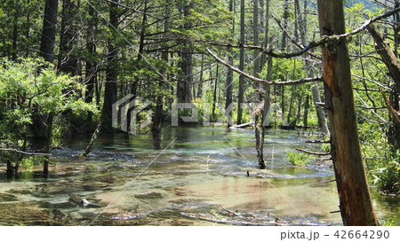 上高地の水 japanease nagano mauntain 42664290