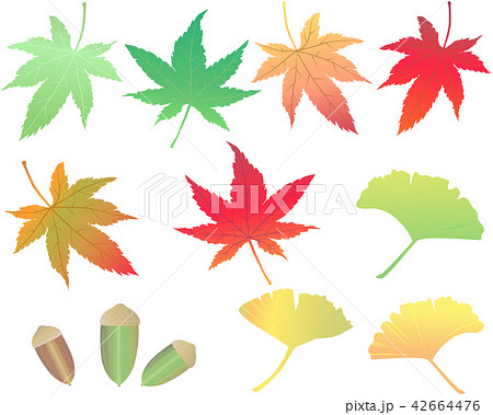 秋の紅葉素材 もみじ イチョウ どんぐりのイラスト素材