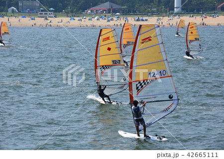 伊勢湾カップ2018 42665111