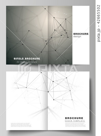The vector layout of two A4 format cover mockups design templates for bifold brochure, flyer, report 42665502