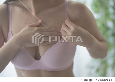 セルフチェック・ブラ セルフチェック・ブラ 42666934