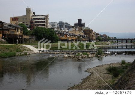 京都の鴨川 京都の鴨川 42667379