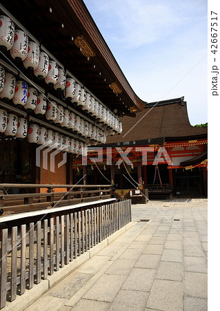 八坂神社より 八坂神社より 42667517