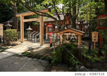 八坂神社より 八坂神社より 42667519
