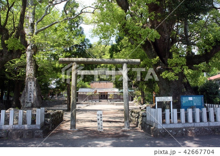 熊野三所大神社 42667704