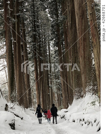 戸隠神社奥社 冬の杉並木 戸隠神社奥社 冬の杉並木 42668701
