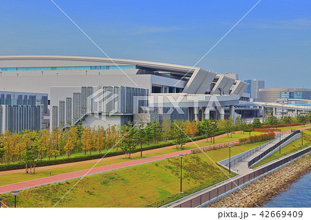 豊洲市場　水産卸売場 42669409