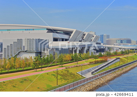 豊洲市場　水産卸売場 42669411