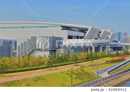 豊洲市場　水産卸売場 42669412