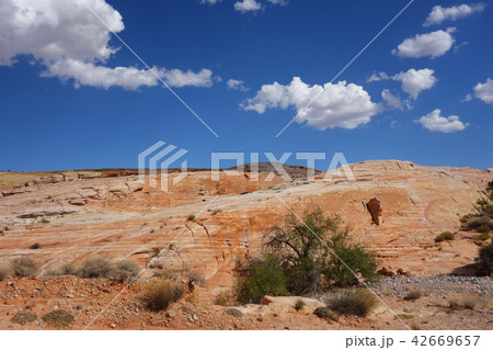 バレーオブファイヤー州立公園 42669657