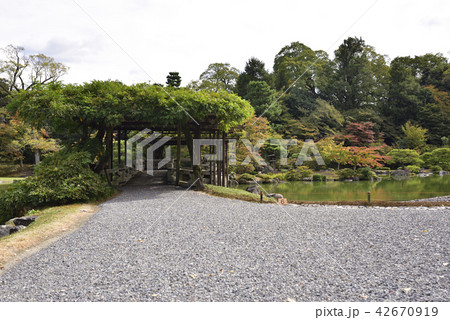 仙洞御所 南池 八ッ橋 仙洞御所 南池 八ッ橋 42670919