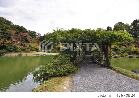 仙洞御所 南池 八ッ橋 仙洞御所 南池 八ッ橋 42670924