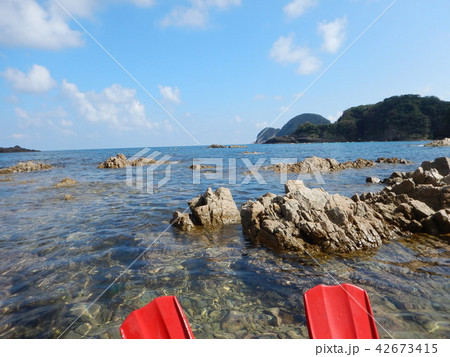 海で遊ぶ 海で遊ぶ 42673415