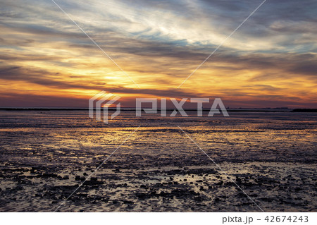 Sunset at low tide - Chatelaillon Plage - France 42674243