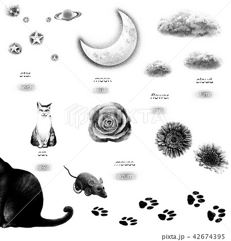猫と月と星と雲と花とネズミのイラスト素材 42674395 Pixta
