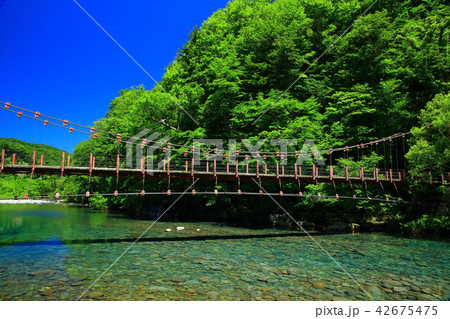 夏の法体の滝 42675475