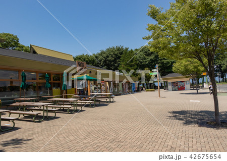 赤城高原サービスエリア 42675654