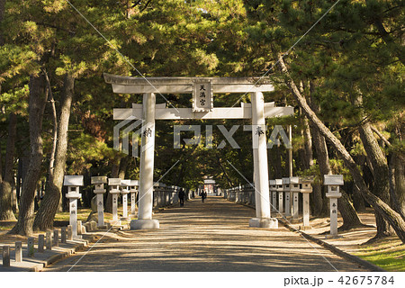 浜宮天神社 鳥居 (兵庫県加古川市) 浜宮天神社 鳥居 (兵庫県加古川市) 42675784