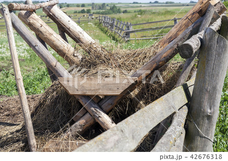 old fence and wooden feeders old fence and wooden feeders 42676318