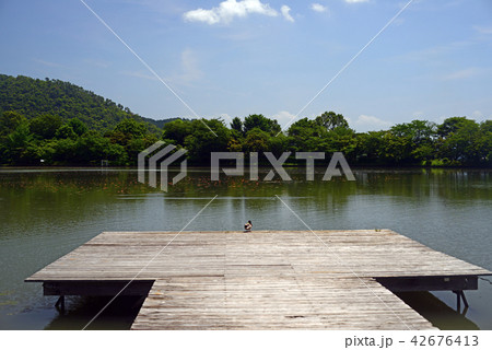 大覚寺大沢池-1 42676413