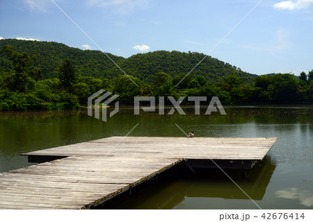 大覚寺大沢池-2 大覚寺大沢池-2 42676414