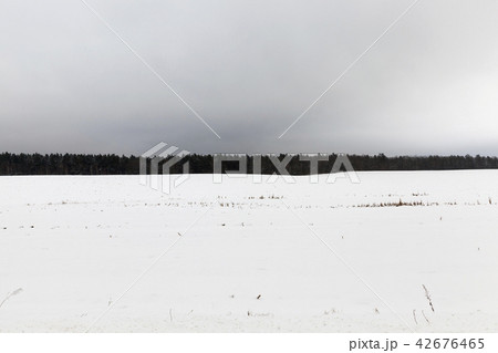 cloudy winter landscape 42676465