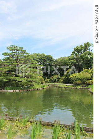 梅宮大社 梅宮大社 42677358