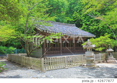 鎌倉高徳院の観月堂 42677877