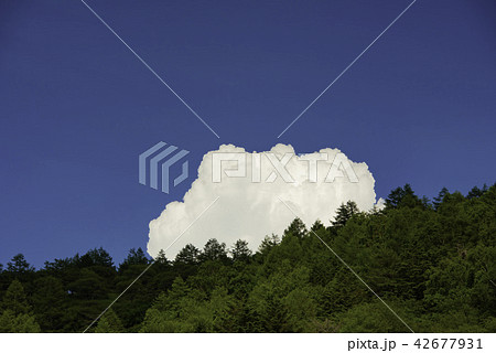 入笠牧場と雲 入笠牧場と雲 42677931