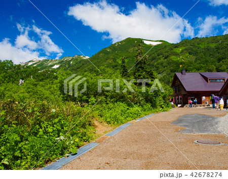 夏の栂池散策 42678274