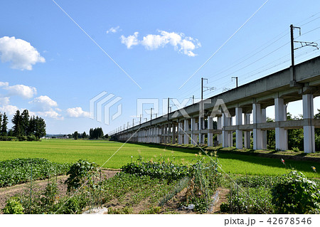 田園の高架線 田園の高架線 42678546
