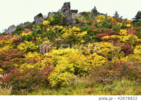 錦秋の栗駒山・賽の磧 42678822