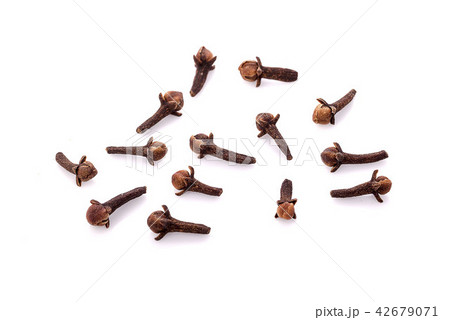 dry cloves on white background dry cloves on white background 42679071