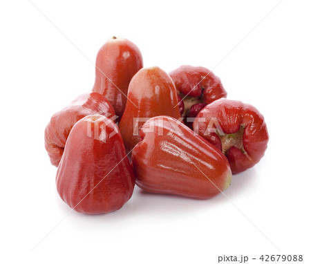 rose apple on white background 42679088