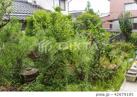 空家の庭 42679195