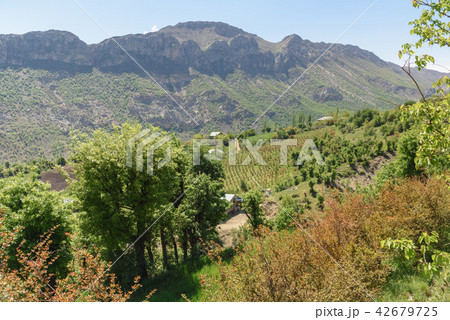 Landscape in Karadut Village. Turkey 42679725