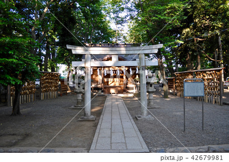 大國魂神社の写真 大國魂神社の写真 42679981