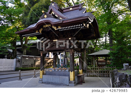 大國魂神社の写真 42679985