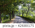 釜山 東 韓国 42680175