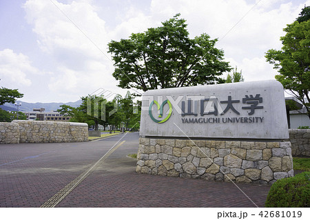 山口大学 42681019