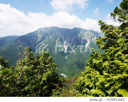 白毛門山中腹から見た谷川岳 白毛門山中腹から見た谷川岳 42681082